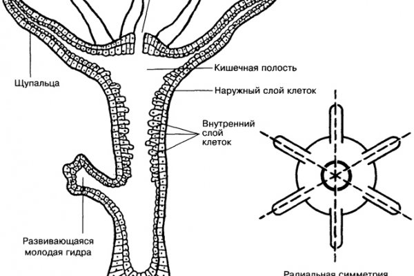 Кракен площадка торговая что это