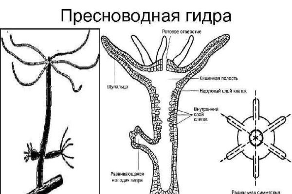 2krn at официальный